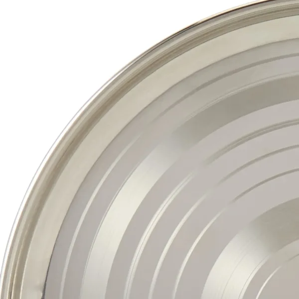 stainless steel dinner plate 4