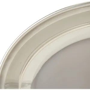 stainless steel serving plate 4