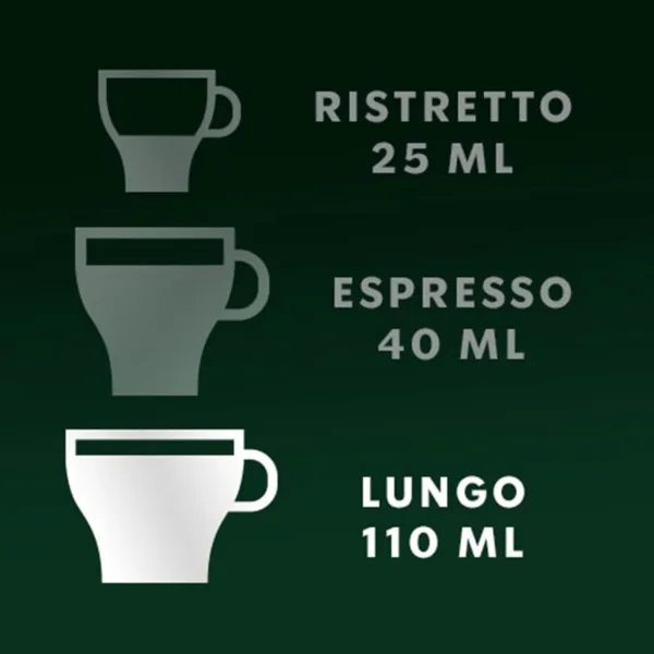 starbucks blonde espresso 6