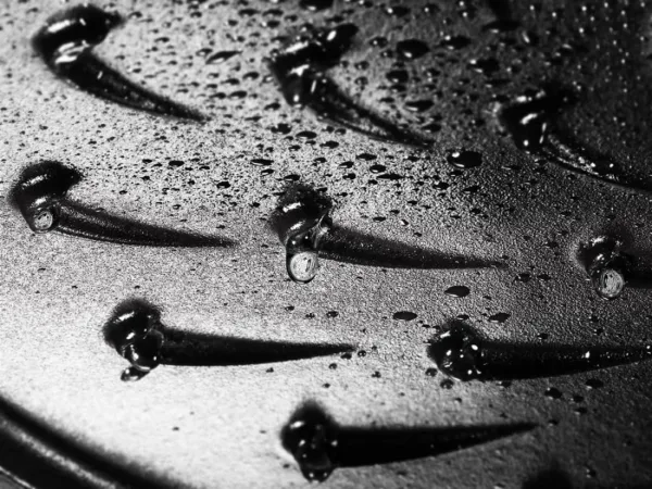 staub braiser cast iron 5