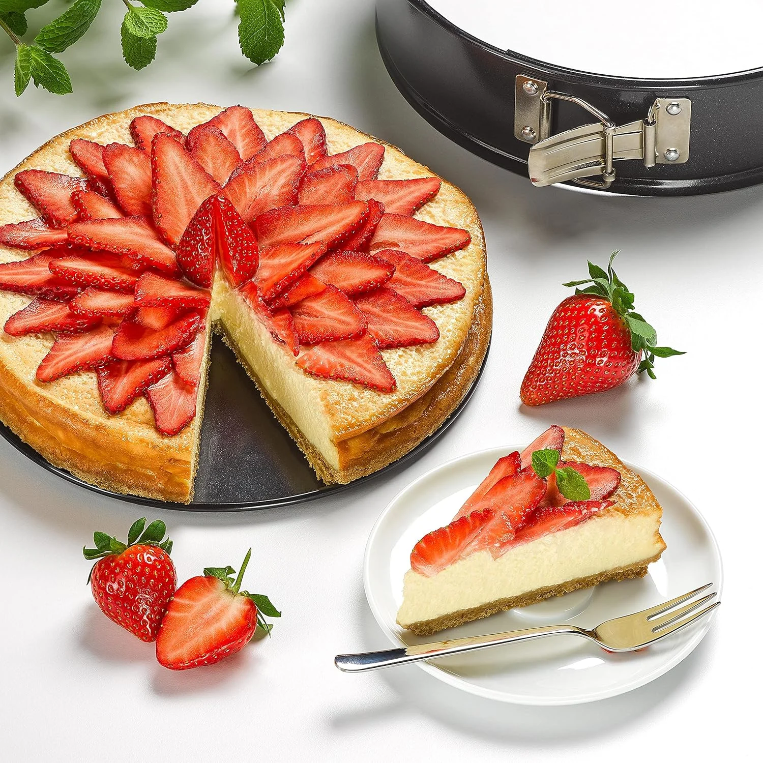 tala non stick springform 6