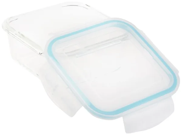 taliona boro glass containers 2