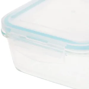 taliona boro glass containers 3