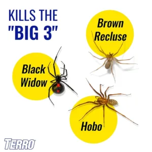 terro spider killer 4