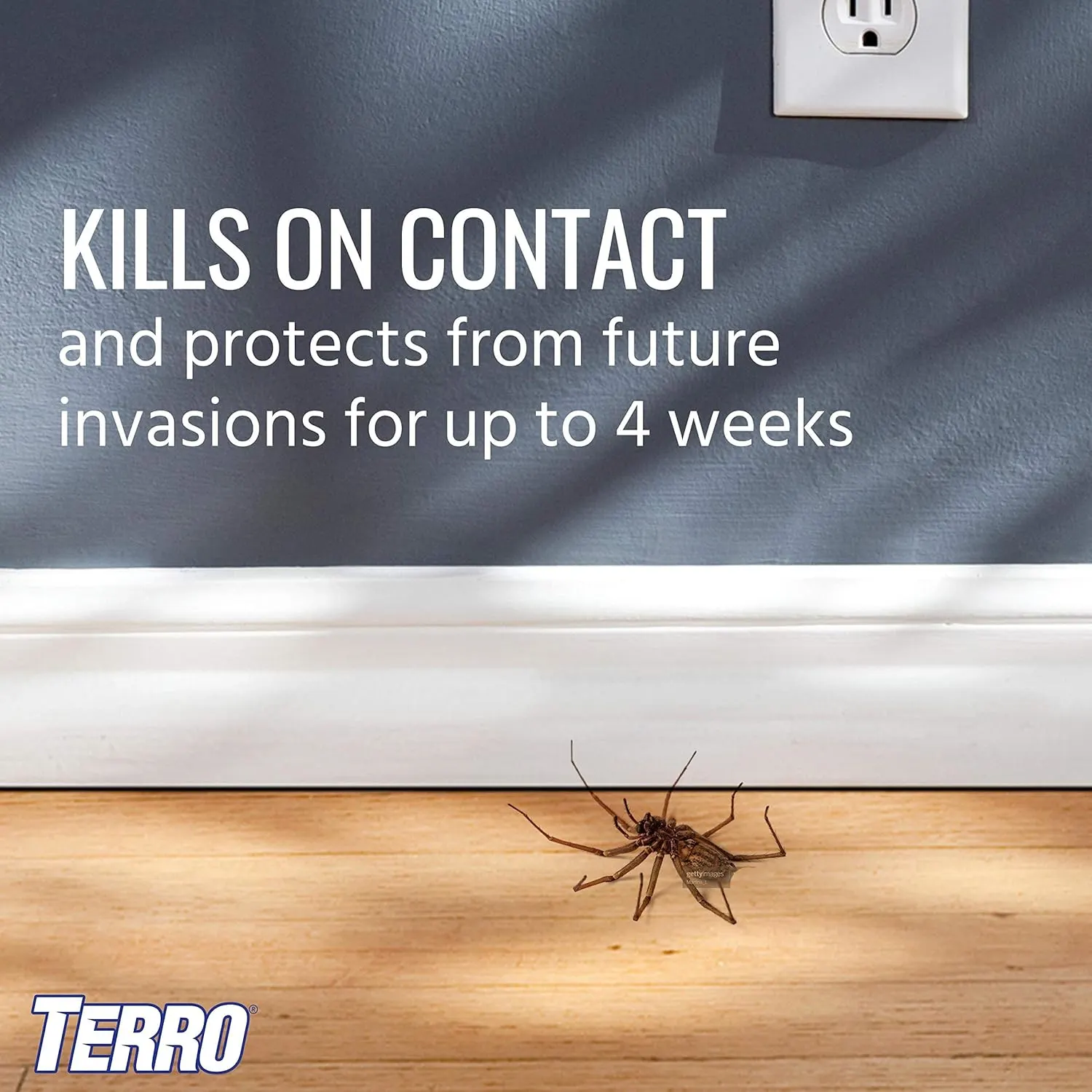 terro spider killer 5