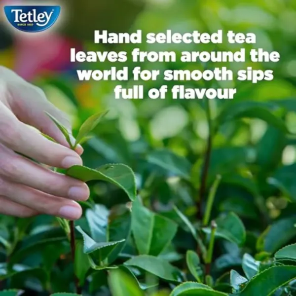 tetley decaffeinated tea 4