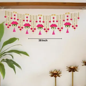 toran entrance door 4