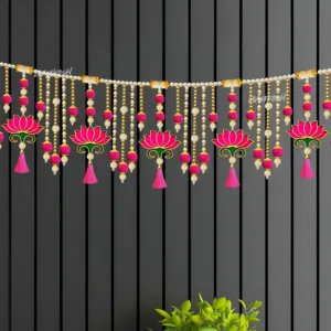 toran entrance door 7