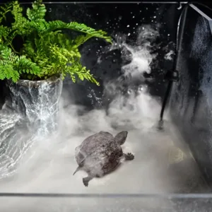 ultrasonic mist maker 4