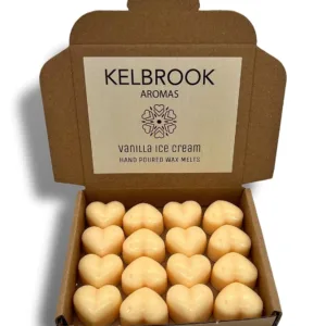 vanilla ice cream melts 1