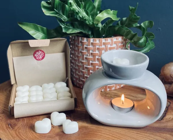 vanilla ice cream melts 2