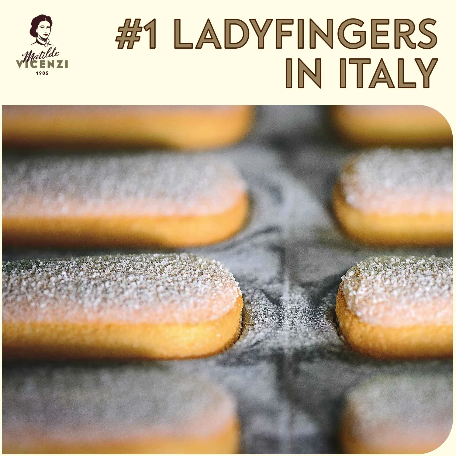 vicenzi ladyfingers cookies 3