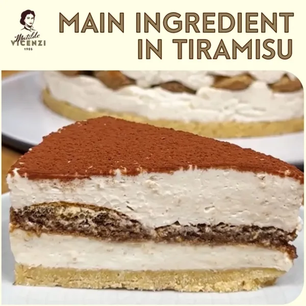 vicenzi ladyfingers cookies 5