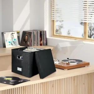 vinyl record storage 4