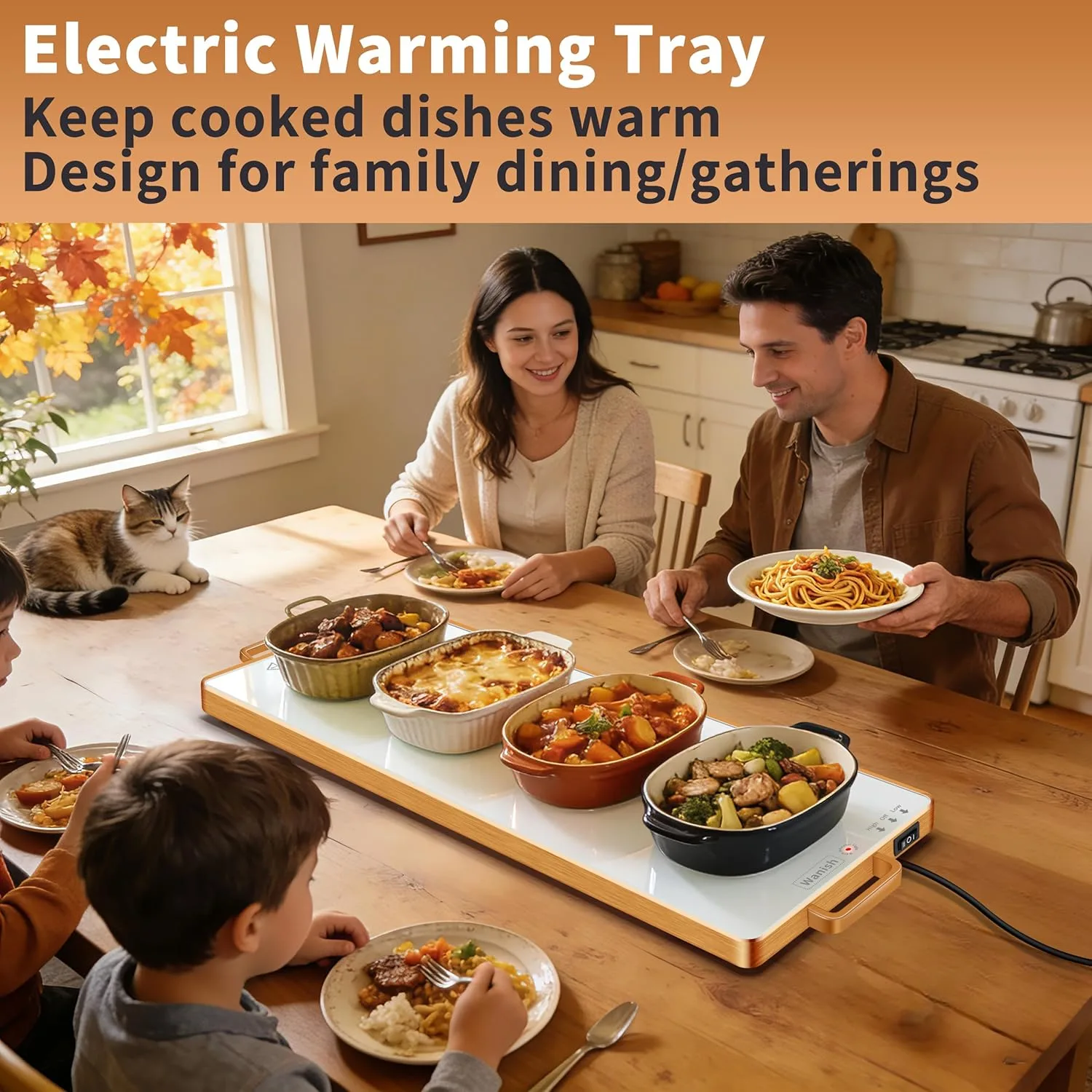warming tray electric 2
