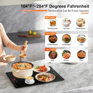 warming tray electric 4