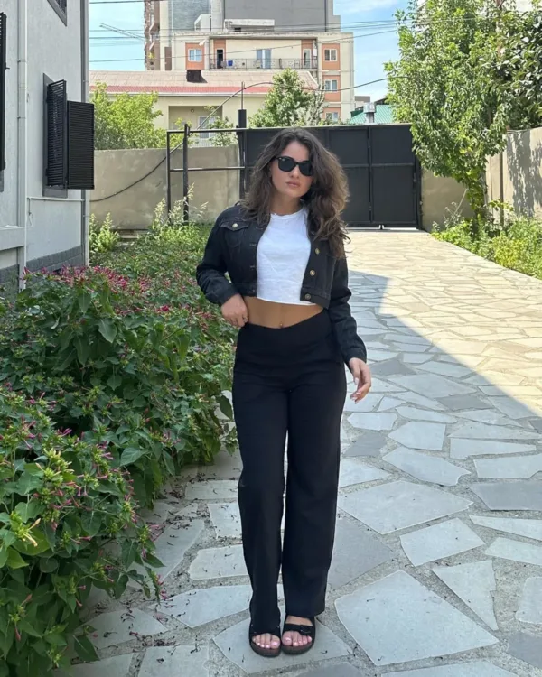 wide leg dress pants 2