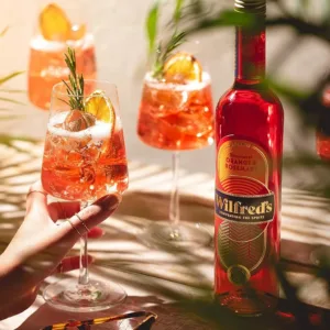 wilfreds non alcoholic aperitif 4