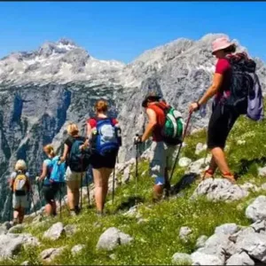 womens trainer socks 6