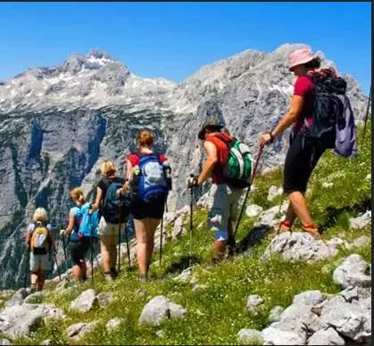 womens trainer socks 6