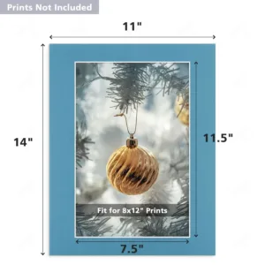 11x14 picture mats 2