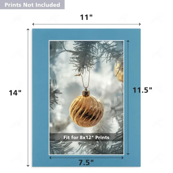 11x14 picture mats 2