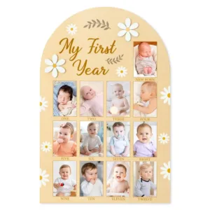 baby first year photo 1