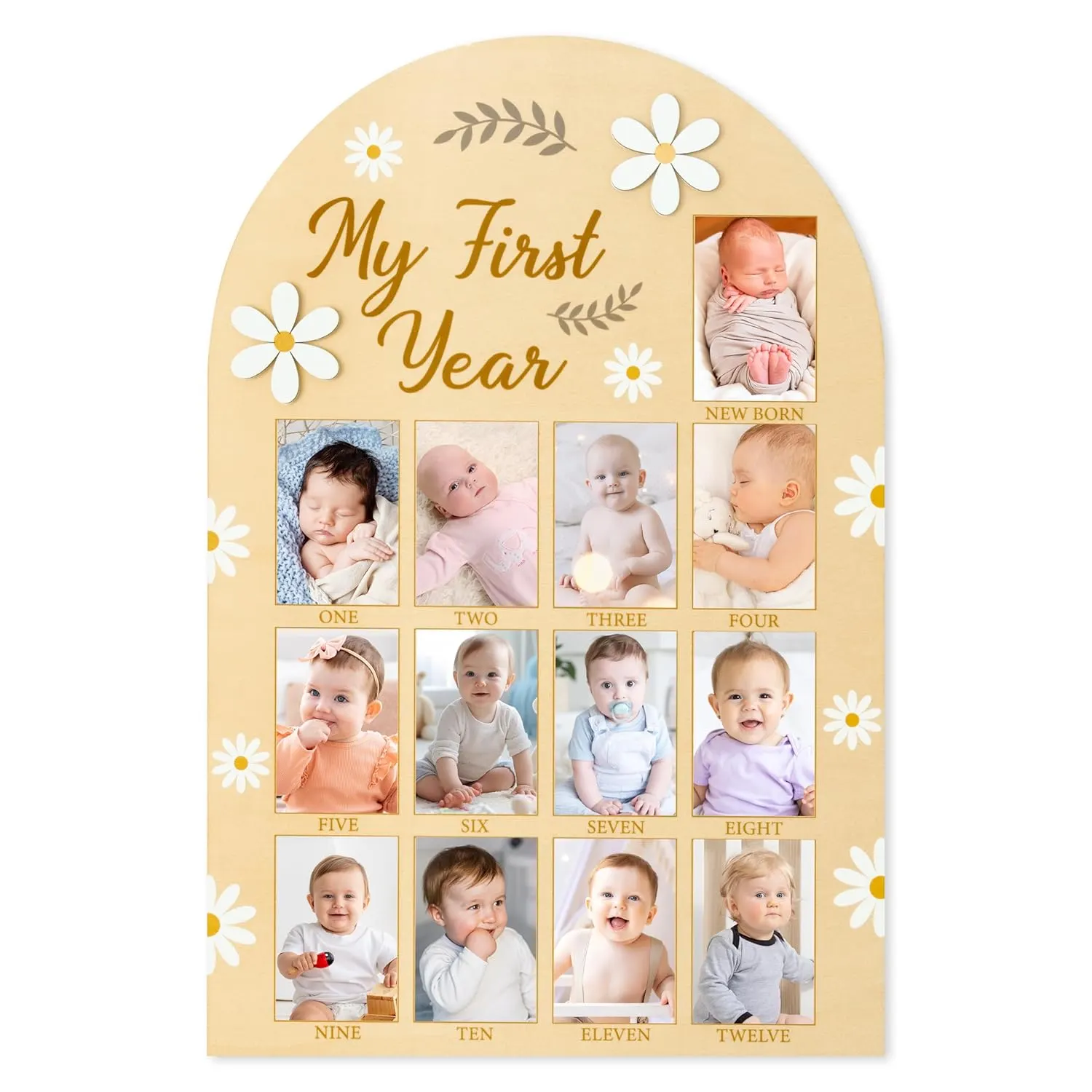 baby first year photo 1