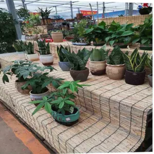 bamboo blind window curtain 3