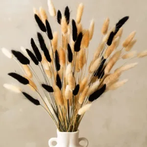 bunny tails dried flowers 1