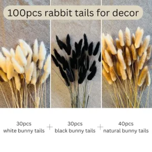 bunny tails dried flowers 3