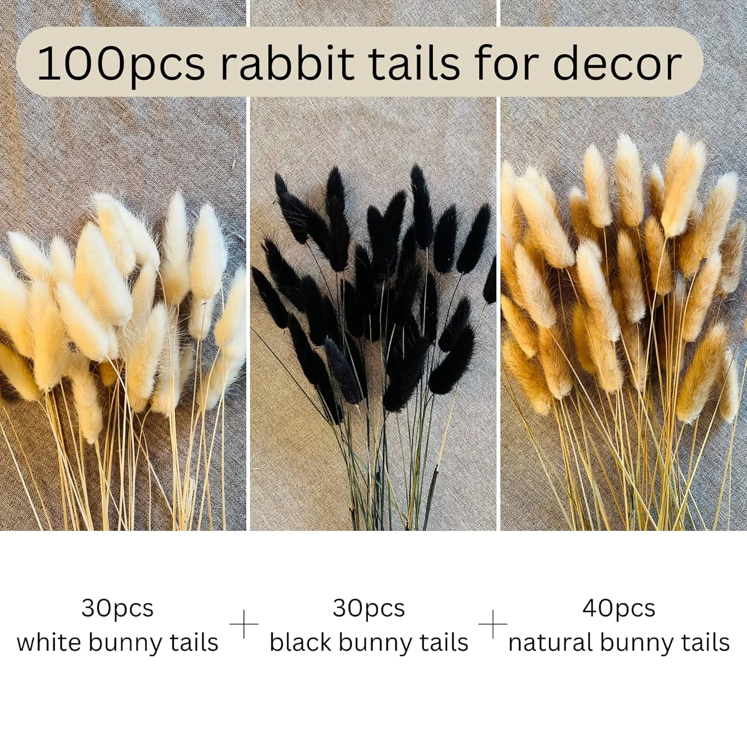 bunny tails dried flowers 3