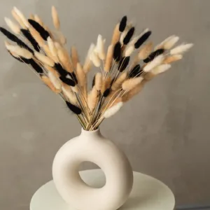 bunny tails dried flowers 4