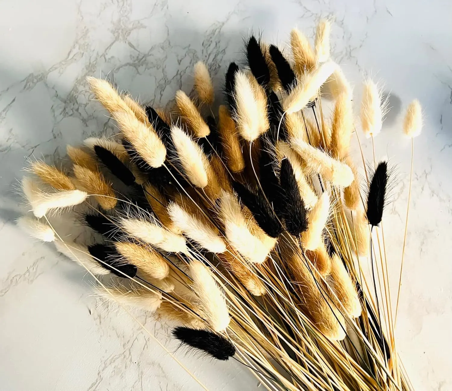 bunny tails dried flowers 5