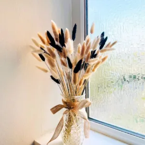 bunny tails dried flowers 7