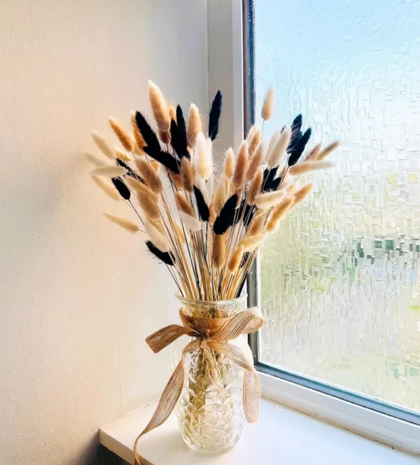 bunny tails dried flowers 7