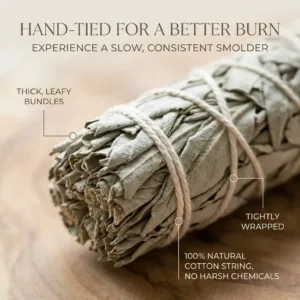 california white sage smudge 3