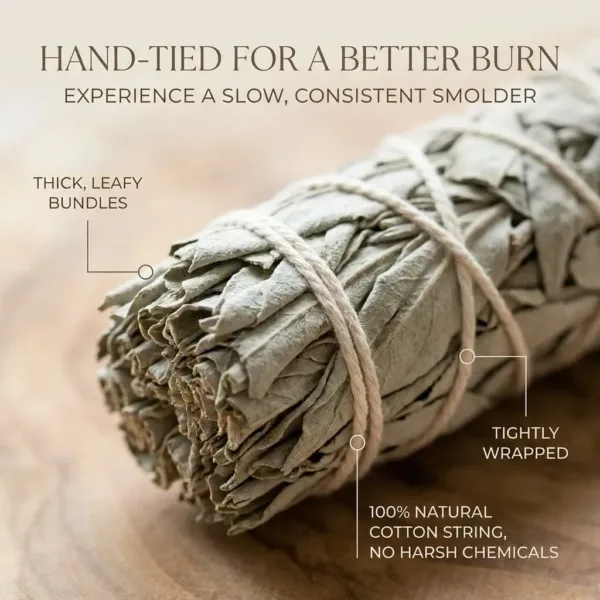 california white sage smudge 3