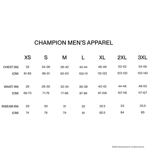 champion mens pullover 6