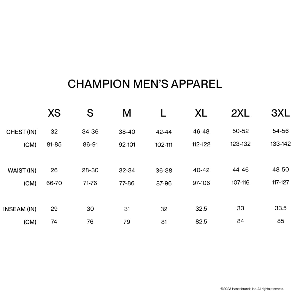 champion mens pullover 6