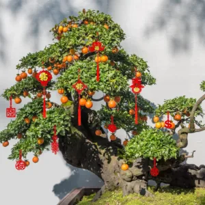 chinese new year decorations 4