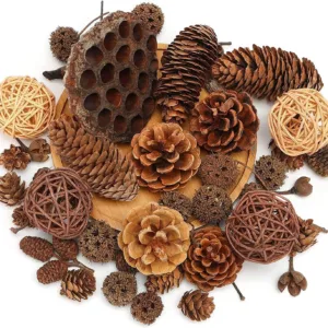 christmas pine cone 1