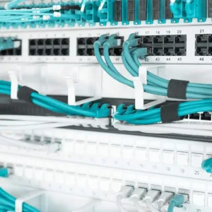 This is a gray DIGITUS 1U patch panel with five cable guides and 44x60 mm jumper brackets designed for 19-inch network cabinets and Ethernet cable management.