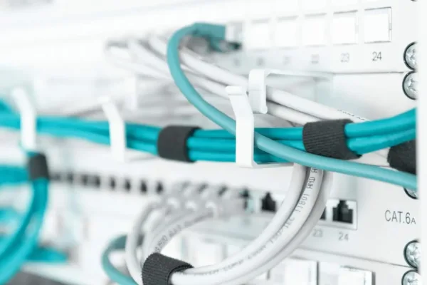 This is a gray DIGITUS 1U patch panel with five cable guides and 44x60 mm jumper brackets designed for 19-inch network cabinets and Ethernet cable management.