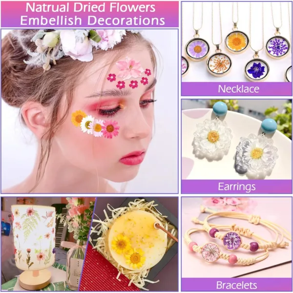 dried pressed flowers 5