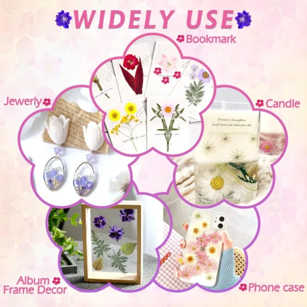 dried pressed flowers 6