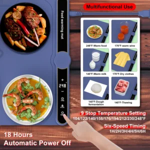 electric food warmer 2