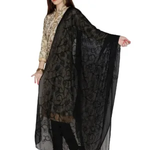 embroidered chiffon dupatta 1