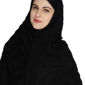 embroidered chiffon dupatta 2