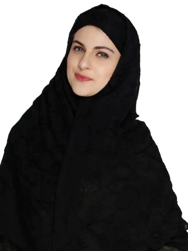 embroidered chiffon dupatta 2